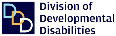DVRS Logo.